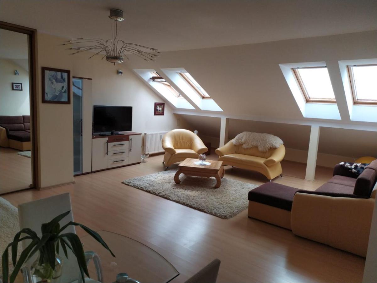 Ekg Apartment