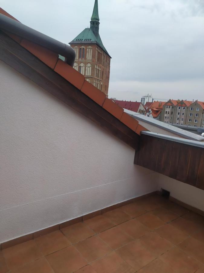 Ekg Apartament