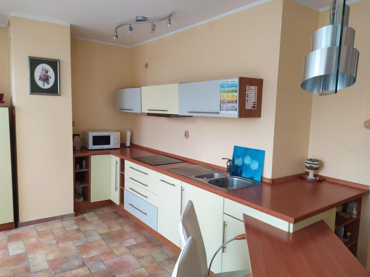 Ekg Apartament *